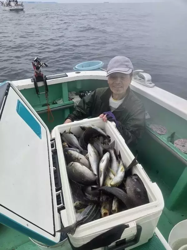 【釣果速報】神奈川県瀬戸丸でイサキ一日好調！50匹前後の好釣果を出す釣り客多数！あなたも記録更新を狙ってみませんか？