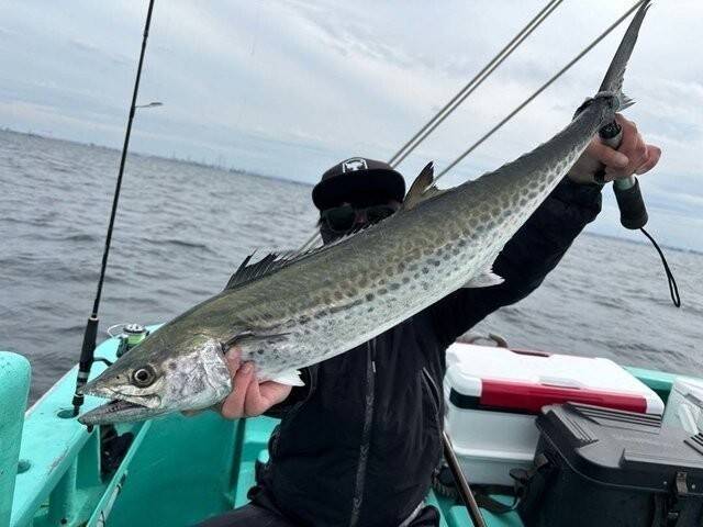 【釣果速報】千葉県守山丸で87cmサワラ＆90cmのタチウオGET！一度体感するとクセになる引きの強さをぜひ味わって！