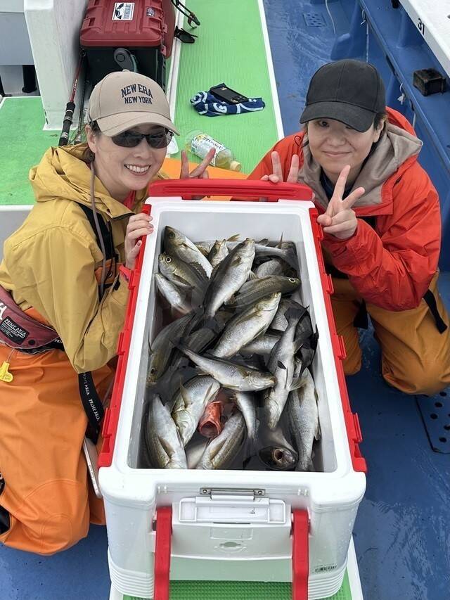 【釣果速報】良型イサキがダブル＆トリプルで釣れまくり！数釣りを楽しむなら神奈川県大松丸に乗船を！