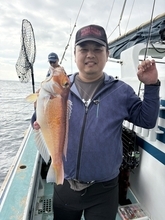 【釣果速報】神奈川県藤八丸でタイ・ワラサ・コチ・アマダイと人気魚種続々ゲット！いろいろな魚との出会いを楽しみたい人は即予約を！
