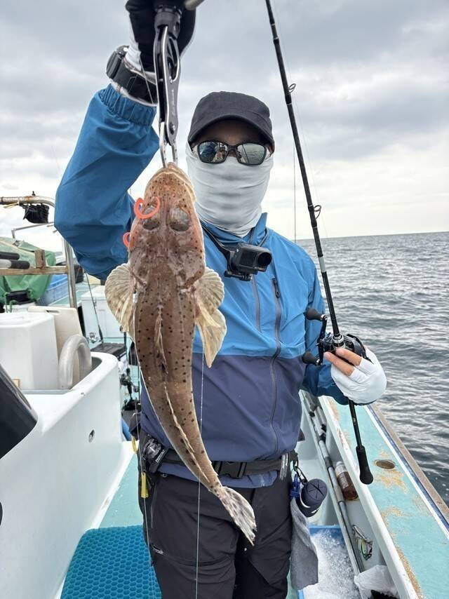 【釣果速報】神奈川県藤八丸でタイ・ワラサ・コチ・アマダイと人気魚種続々ゲット！いろいろな魚との出会いを楽しみたい人は即予約を！