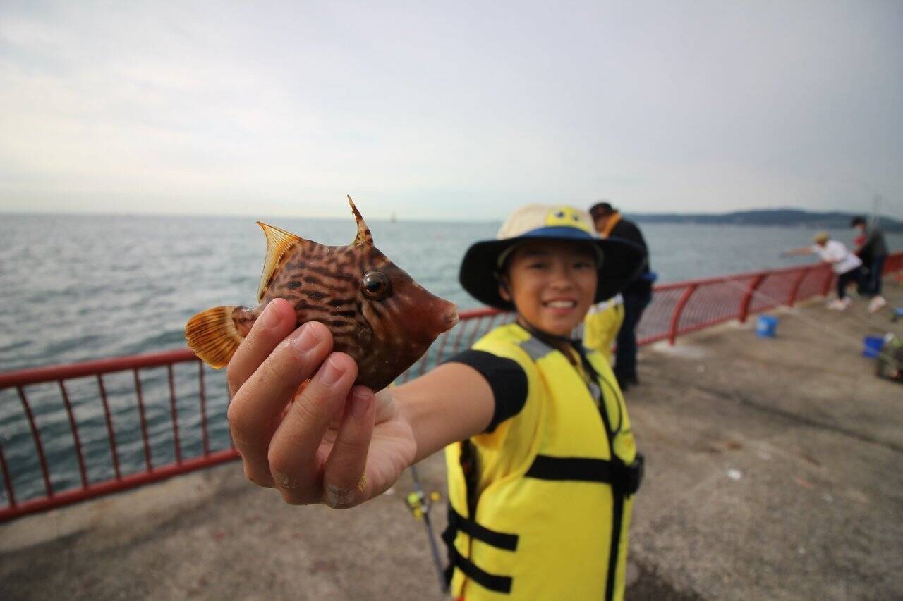 家族でいけばもっと楽しくなる海釣り公園。誰でも釣れるオススメの釣り方3選