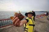 「家族でいけばもっと楽しくなる海釣り公園。誰でも釣れるオススメの釣り方3選」の画像13