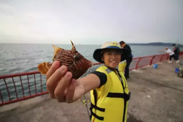 「家族でいけばもっと楽しくなる海釣り公園。誰でも釣れるオススメの釣り方3選」の画像
