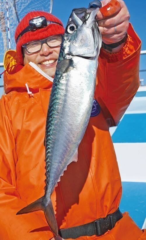 大型増で脂乗り最高！勝浦沖の寒サバ好期突入