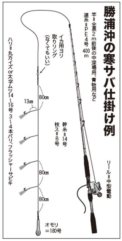 大型増で脂乗り最高！勝浦沖の寒サバ好期突入