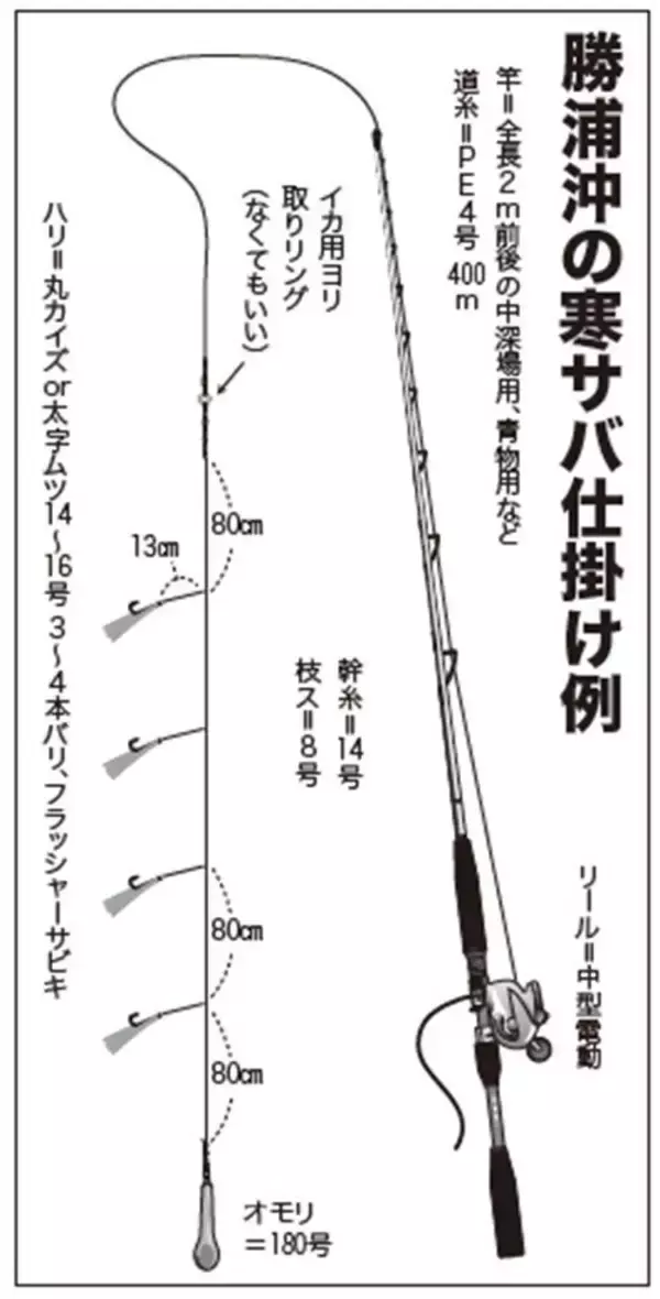 「大型増で脂乗り最高！勝浦沖の寒サバ好期突入」の画像