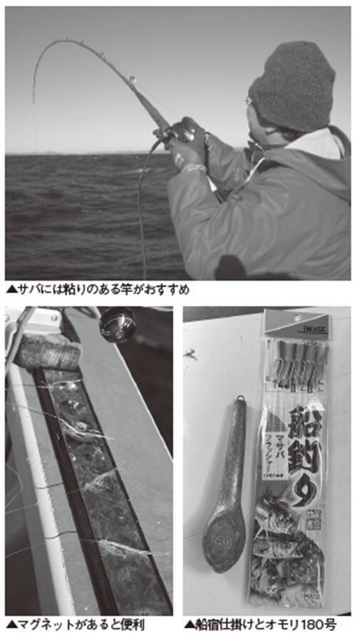 大型増で脂乗り最高！勝浦沖の寒サバ好期突入