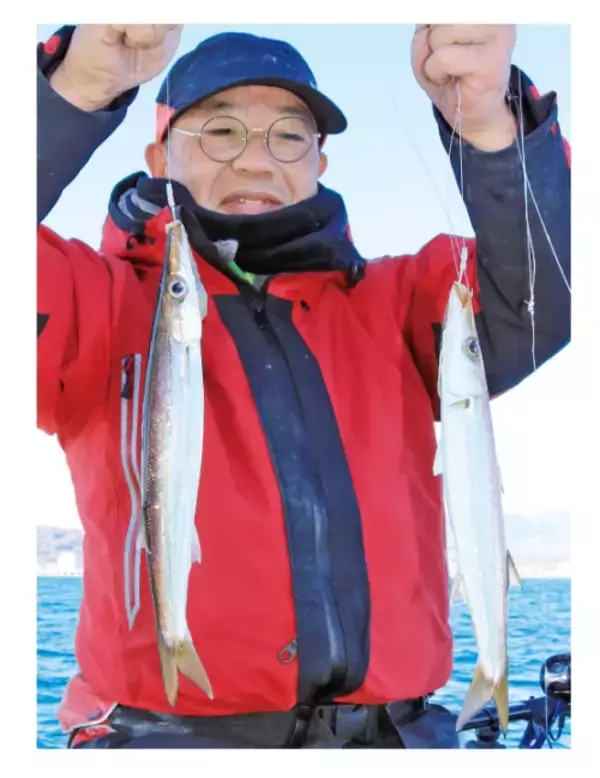 「相模湾に春の訪れを告げる 期間限定カマス好調スタート」の画像