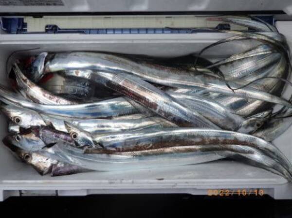 釣果速報 タチウオが1時間で30本ヒット クロムツもトップ15匹と好釣果 千葉県聡丸の勢いが止まらない 22年10月14日 エキサイトニュース 釣果速報 タチウオが1時間で30本ヒット クロムツもトップ15匹と好釣果 千葉県聡丸の勢いが止まらない 22年10月14日 エキサイトニュース