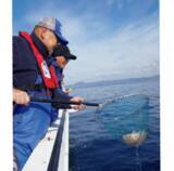 「色違いのタイは好調も本命苦戦 ラストに二人に何かが起こる!?」の画像1