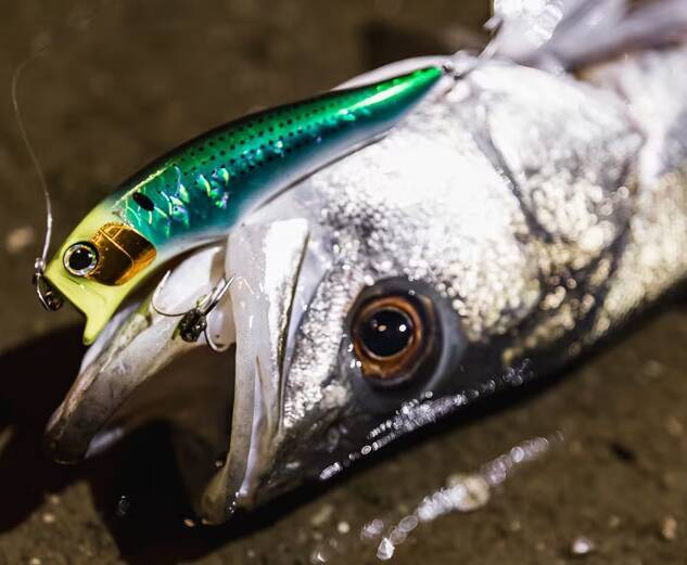 エクスセンス アガケ95Fジェットブーストに2024年新カラー登場！