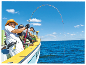 激アツ反応てんこ盛り！相模湾のキハダモンスターシーズンへ