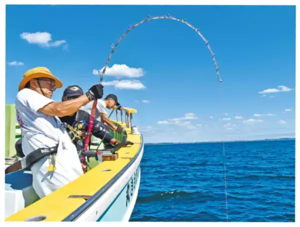 激アツ反応てんこ盛り！相模湾のキハダモンスターシーズンへ