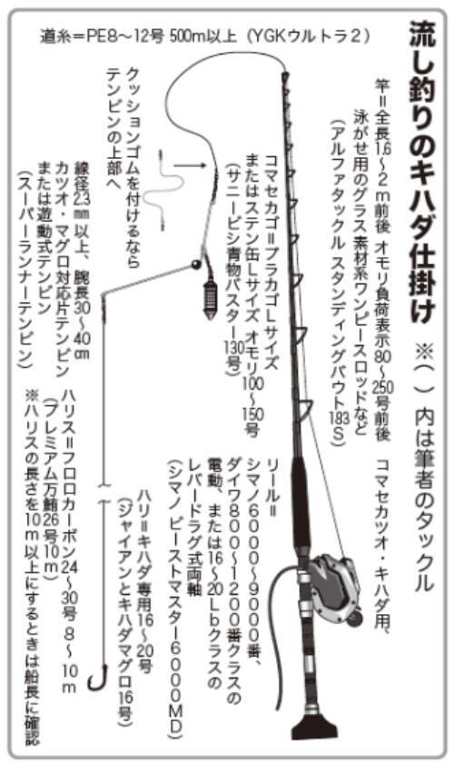 激アツ反応てんこ盛り！相模湾のキハダモンスターシーズンへ