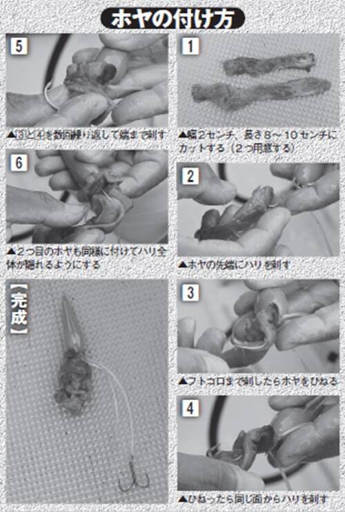 良型狙うなら今がチャンス　大原で始める秋のフグ釣り