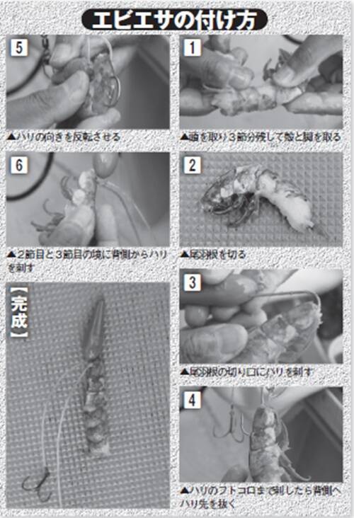 良型狙うなら今がチャンス　大原で始める秋のフグ釣り