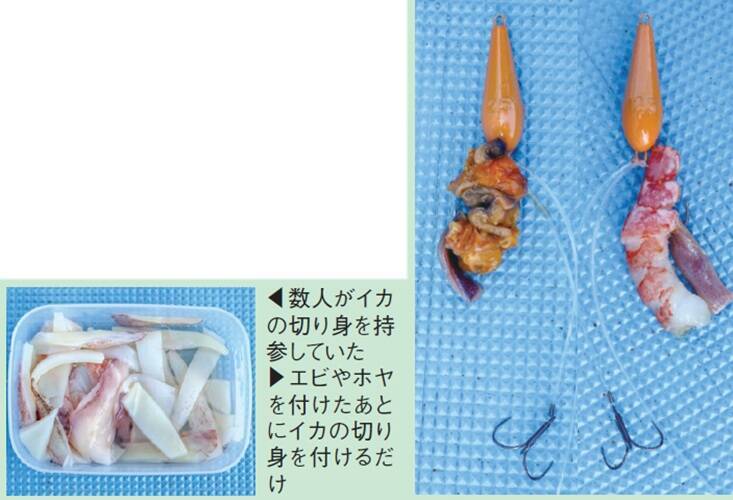 良型狙うなら今がチャンス　大原で始める秋のフグ釣り
