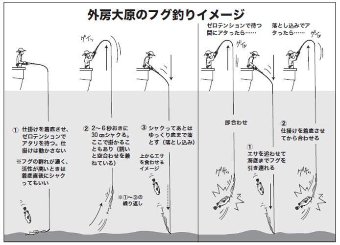 良型狙うなら今がチャンス　大原で始める秋のフグ釣り