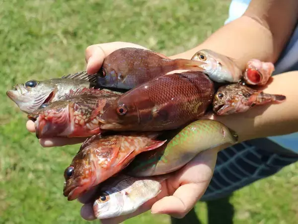 「休みの日は家族で釣りにでかけよう！【うきまろフィッシングデー】」の画像
