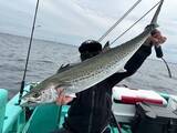 「【釣果速報】千葉県守山丸で87cmサワラ＆90cmのタチウオGET！一度体感するとクセになる引きの強さをぜひ味わって！」の画像2