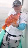 「【釣果速報】神奈川県海力丸でアカハタ・アオリイカGET！キジハタ・ホウボウも！ワンランク上の釣果を目指せ！」の画像1