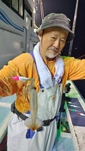 【釣果速報】茨城県幸栄丸でムギイカ祭り開催？！トップは150杯！今こそ極上イカを手に入れる冒険の旅に出よう！