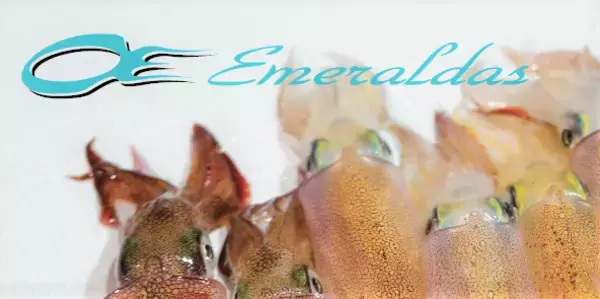 「エメラルダスXボートは2021年新発売のボートエギング専用エントリーロッド！」の画像