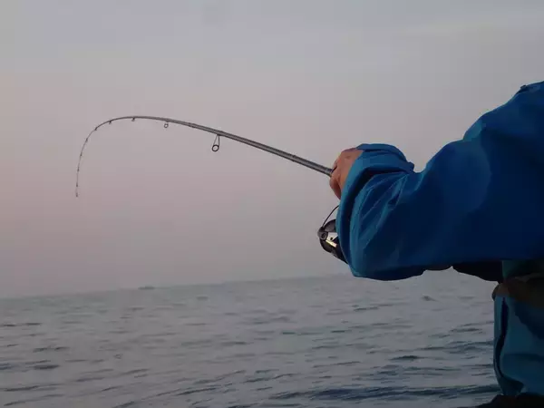 「鳥取のオモリグで爆釣必至のドロッパーカラーローテ４タイプ。「釣れているうちに交換」が決め手！？」の画像