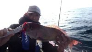 【釣果速報】新潟県光洋丸のディープタイラバ船は朝イチから好調！数も型も楽しめる大満足の釣行に！大物狙うなら今すぐ乗船して！