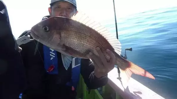 「【釣果速報】新潟県光洋丸のディープタイラバ船は朝イチから好調！数も型も楽しめる大満足の釣行に！大物狙うなら今すぐ乗船して！」の画像