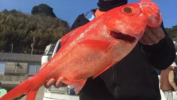 「キンメダイの旬っていつ？各地の時期や釣り方、美味しい食べ方まで大特集！」の画像