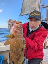 【釣果速報】ヒラメにタカバ、アコウ！福岡県金生丸に乗るとクーラーボックスが高級魚の宝石箱になるぞ！
