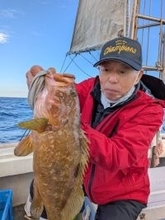 【釣果速報】ヒラメにタカバ、アコウ！福岡県金生丸に乗るとクーラーボックスが高級魚の宝石箱になるぞ！