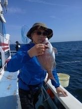 【釣果速報】神奈川県佑幸丸でマダイ確保！当たり良く連続ヒット！記録狙いさん大注目の釣り船です！