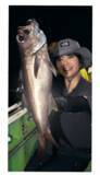 「内房名物夜ムツ乗合 ビッグサイズに沸く」の画像1