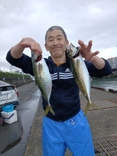 【釣果速報】静岡県SHINSEIMARUでマアジGET！最大42cm！好調のうちに乗船予約を！