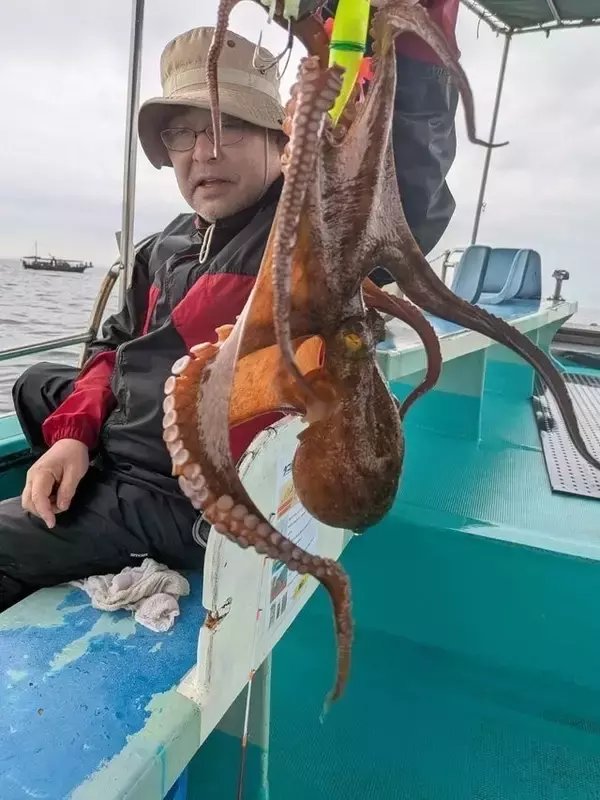【釣果速報】兵庫県釣り船 名田屋でマダコGET達成！合計16匹！好調の今、ぜひ乗船予約を！