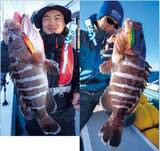 「外房大原港発スーパーライトジギング（SLJ）」の画像7