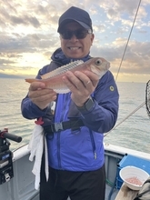 【釣果速報】“幻の甘鯛”ことシロアマダイが連発ヒット！トップは2匹をキャッチ！静岡県山大丸で超高級魚に出会おう！