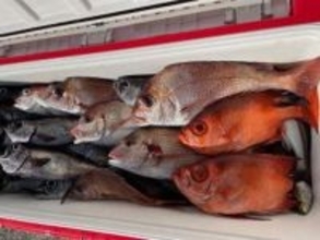 【釣果速報】千葉県新栄丸でクロムツGET！メダイ・アジ・スミヤキなどゲストも多種多様！充実の釣行をお約束します！