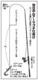 「浅場で50cmオーバー連発　鹿島沖のルアーマゴチ始まる」の画像7