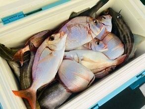 【釣果速報】イサキ・ハナダイのヒットが連発！千葉県太幸丸の釣行でクーラーボックスを人気魚種でいっぱいにしよう！