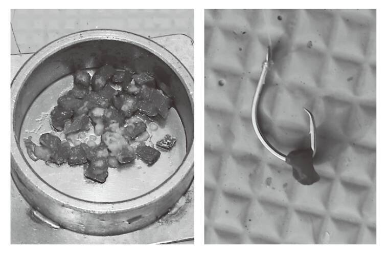 脂が乗って食味も抜群 走水沖のビシアジ好調