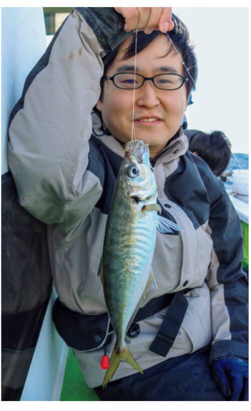 脂が乗って食味も抜群 走水沖のビシアジ好調