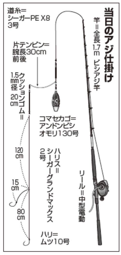 脂が乗って食味も抜群 走水沖のビシアジ好調