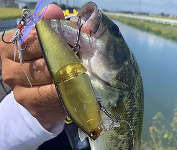 「L-バス ウェイクライダーは2024年新登場のジョイント式ウェイクベイト！」の画像