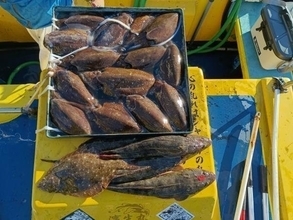 【釣果速報】注目のカミナリイカ釣れた！他スミイカ・アオリイカも釣れ、お土産に！あなたも神奈川県濱生丸でカミナリイカを狙おう！