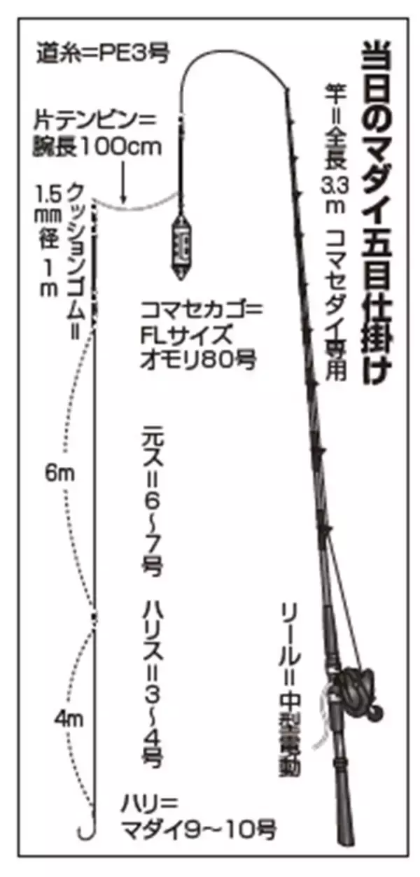 「釣り仲間と楽しむ！ 南房乙浜のマダイ五目」の画像