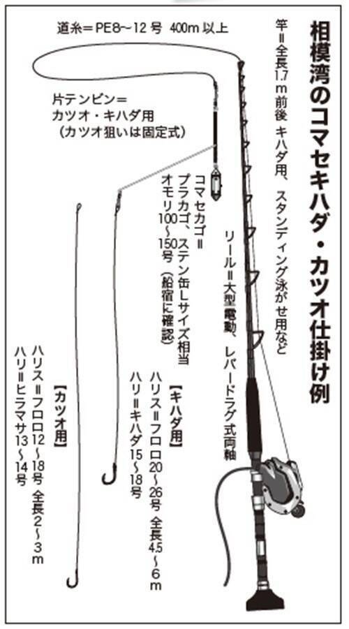 前哨戦のフカセはバッチリ　相模湾の今期やいかに !?